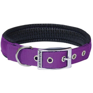 *CLEARANCE* Soft Padded Nylon Collar 1" x 26" (66cm) - Purple