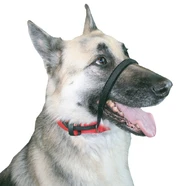 Sporn Head Halter Black Xlge