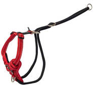 Rogz Control Stop Pull Harness Red Med