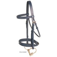 Jeremy and Lord Dressage Bridle