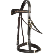 Jeremy and Lord "V" Dressage Bridle Cob/Brown