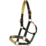 Jeremy & Lord Padded Leather Halter w/Rose Gold Fittings - FULL