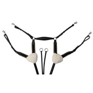 Jeremy and Lord 5 Point Breastplate [Size: Full]