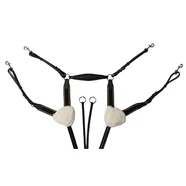 Jeremy and Lord 5 Point Breastplate  
