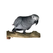 Stage Medium Bird Perch 