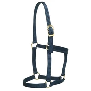 GG Australia Stable Halter Cob