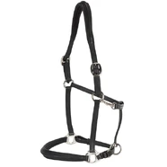 Landsborough Leather Halter - Black