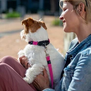 Rogz Control Collar Web 