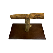 T Stand Bird Perch