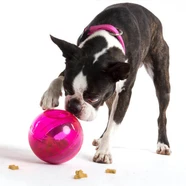 Rogz Tumbler Treat Dispenser Toy