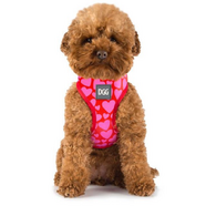 DGG Easy Walker Harness - Love Extra Small