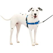 Gentle Leader Harness w/ Front Leash - Medium/ Large