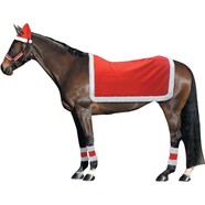 Christmas Horse Riding Set