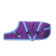 ZeeZ Supreme Dog Coat Grape Purple/Blue (GEN 2)