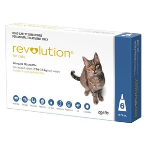 Revolution Blue 6 pack for Cats