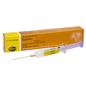 Equivac Tetanus Toxoid Single Dose (Yellow) 