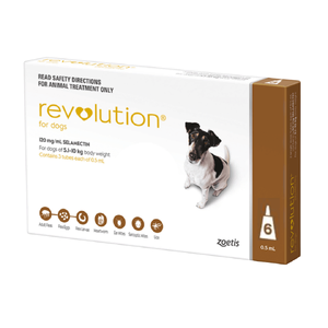 Revolution Brown 6pk - Dogs 5 - 10kg 