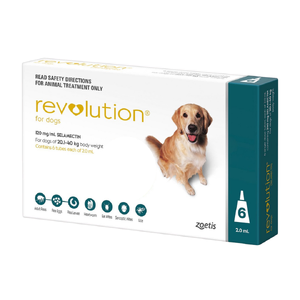 Revolution Teal 6pk - Dogs 20- 40kg