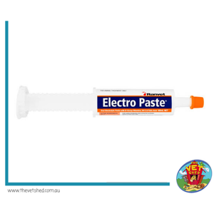 Ranvet Electro Paste 60ml