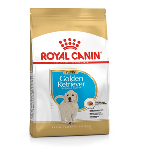 Royal Canin Golden Retriever Puppy Dog Dry Food 12kg Golden Retriever puppy food, Royal Canin Golden Retriever, large breed puppy food, breed-specific puppy food, dog food for golden retrievers, puppy food for coat health, golden retriever skin support, LIP protein dog food, puppy food for sensitive digesti