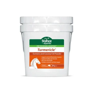 Stance Equitec Turmericle 2kg