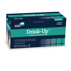 Drink Up Box of 20 x 80gm Sachets KER