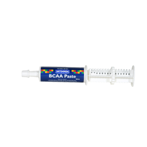 BCAA Oral Paste 60ml