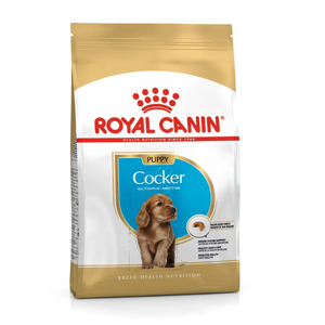 Royal Canin Cocker Spaniel Puppy Dog Dry Food 3kg Cocker Spaniel puppy food, Royal Canin Cocker Spaniel, puppy food for skin and coat, Cocker Spaniel digestion support, breed-specific puppy food, Royal Canin puppy kibble, EPA DHA puppy nutrition, Royal Canin dental formula, puppy immune support, premium 