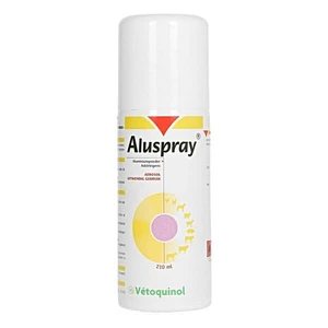 Aluspray 210ml Aerosol