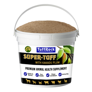 Tuffrock Super-Tuff 2.5kg