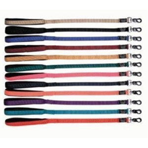 Soft Padded Nylon Leash 1" x 4'