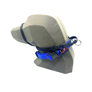 BlackDog HalterMate Blue
