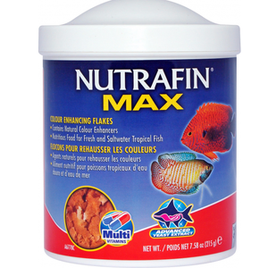Nutrafin Max Tropical Colour Enhance Flakes