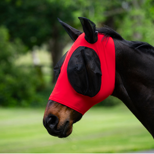 Eureka Stretch Bug Eye Fly Mask