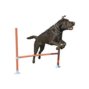 Rosewood Agility Hurdle Jump for Dogs rosewood agility hurdle jump, dog agility hurdle australia, adjustable dog jump training, kennel club agility jump, dog agility equipment australia, backyard dog agility hurdle, dog training jump kit australia