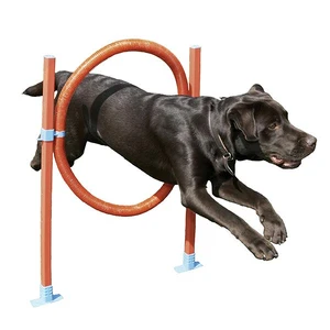 Rosewood Agility Hoop Jump for Dogs rosewood agility hoop jump, dog agility hoop australia, dog agility equipment, kennel club competition hoop, dog training agility jump, agility tyre jump dog australia, dog agility obstacle backyard