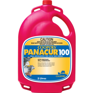 Panacur 100 for horses and cattle 5 Litre