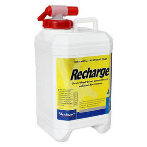 Recharge Horse 5 litre