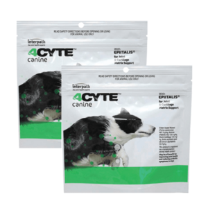 4Cyte Canine 100g x 2 Joint Support for dogs 