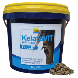 Kelato KelatoVIT Performance 2kg