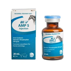 Amp 5 Injection 20ml 