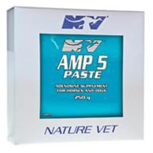 AMP5 Paste 250g