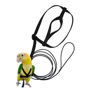 The Aviator X-Large Bird Harness & Leash - Black