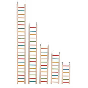 Paradise Parrot Ladder 24' (61cm) long