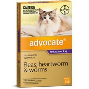 Advocate Cat SINGLE Dose Pack Purple for cats over 4kg