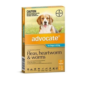 Advocate Medium Dog Aqua (4-10kg) 3pk