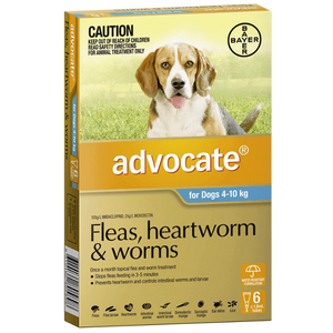 Advocate Medium Dog Aqua (4-10kg) 6pk