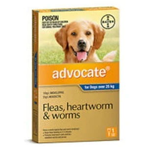 Advocate Extra Large Dog SINGLE DOSE Blue for dogs over 25-40kg