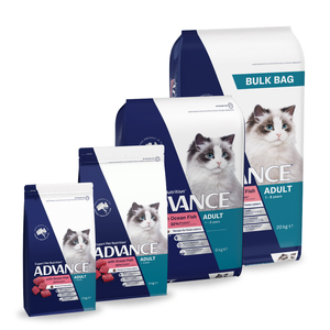 Advance Adult Ocean Fish Dry Cat Food