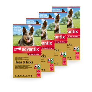Advantix Spot-On for Large Dogs 10-25kg (Red) Advantix red dogs, Advantix large dogs 10–25kg, flea and tick prevention for dogs, paralysis tick treatment, mosquito repellent for dogs, Advantix spot-on red pack, Bayer Advantix large dog